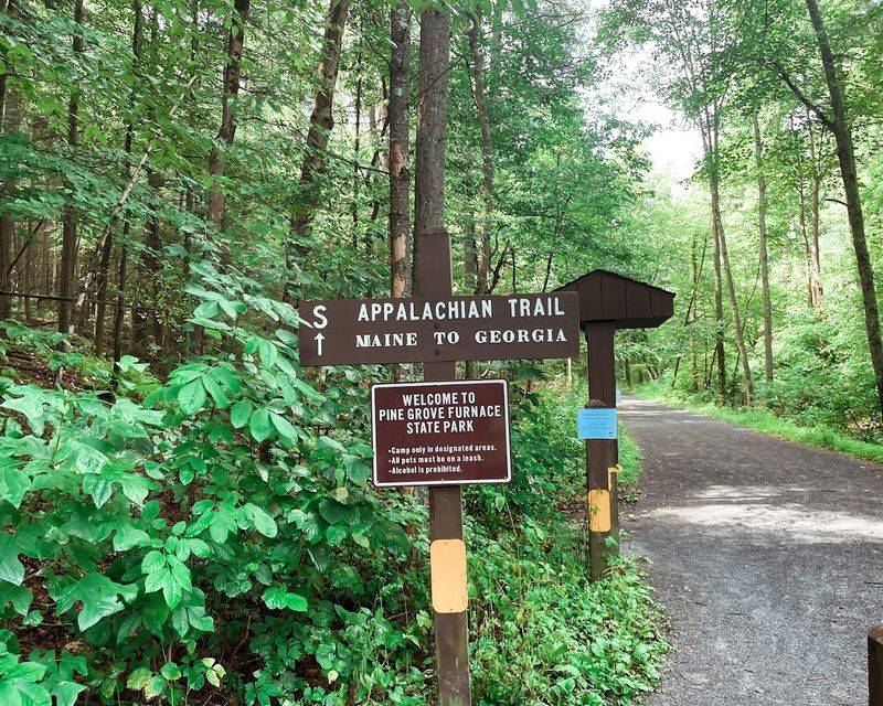 Michaux State Forest