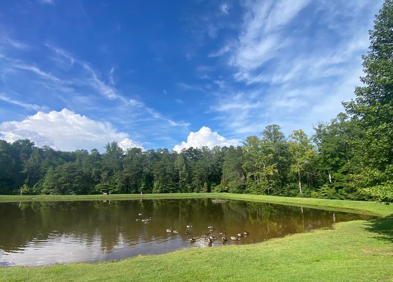 Mayo River State Park &mdash; Mayodan