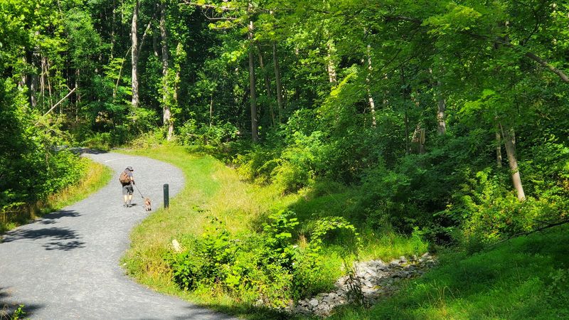 Waynesboro, Augusta County
