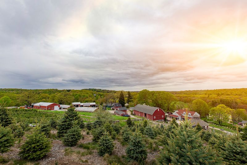 Jones Family Farms (Shelton)
