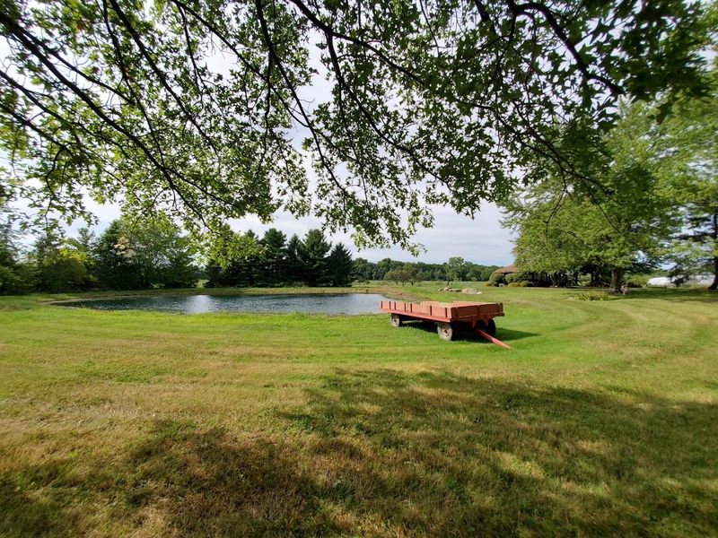 Richardson Farms, Medina
