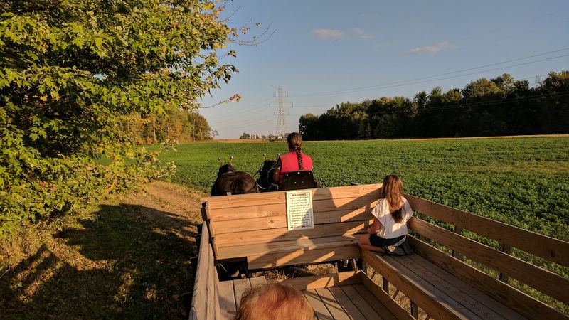 Fruit Ridge Hayrides (Kent City)