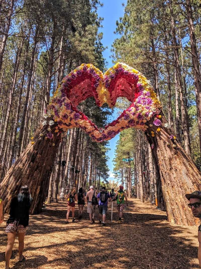 Electric Forest (Rothbury)