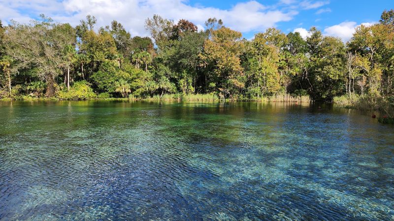 Alexander Springs Recreation Area (Ocala National Forest, near Altoona)