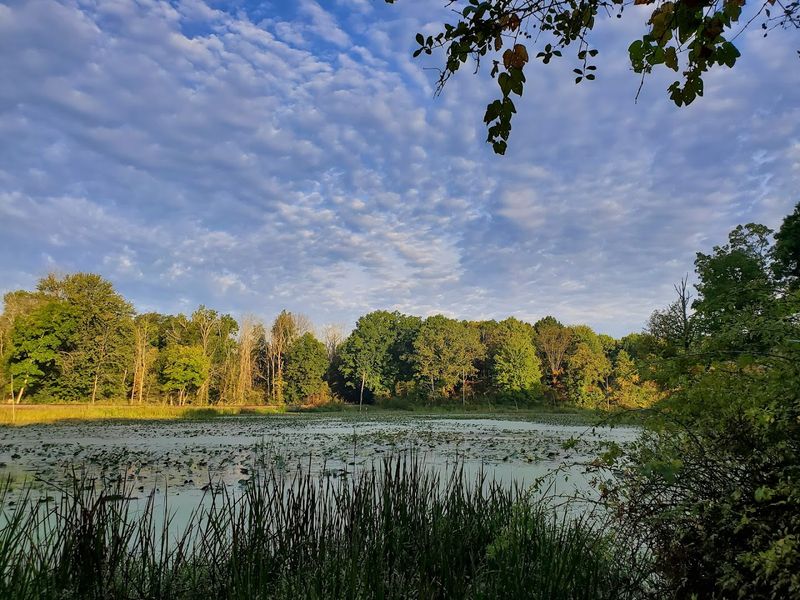 Tinkers Creek State Nature Preserve 
