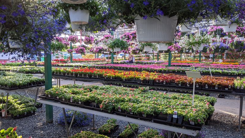 Calareso&rsquo;s Farm Stand & Garden Center