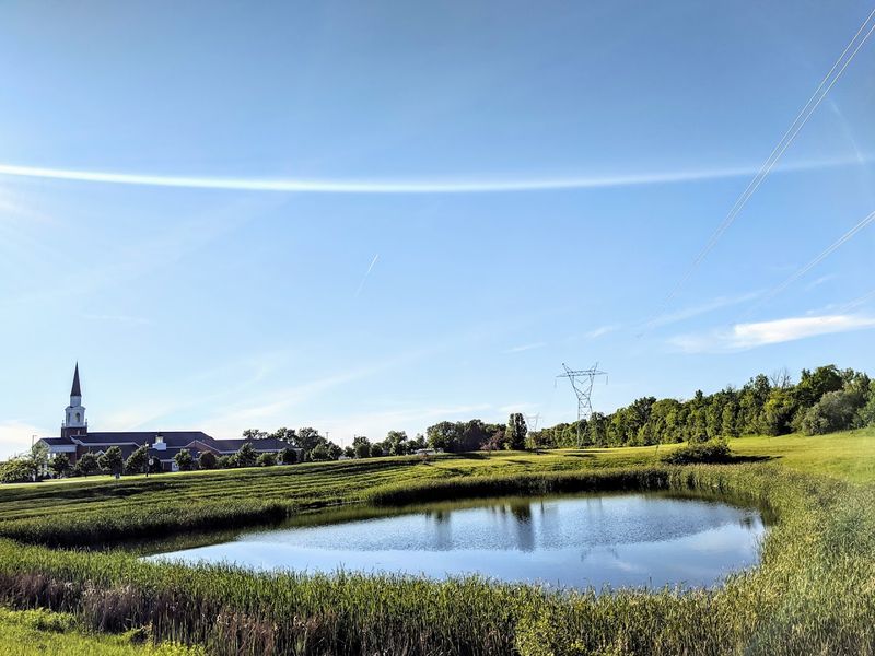 Mulberry Fields Park &ndash; The Town's Green Escape