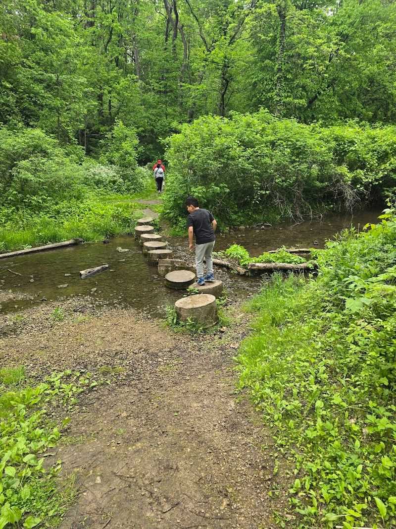 Pine Creek's Enchanting Water Crossings