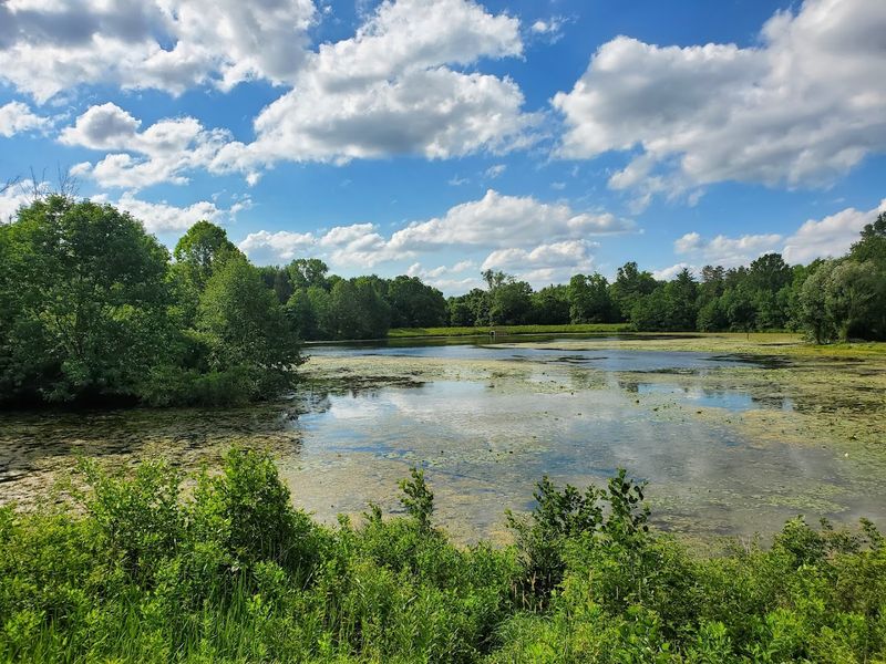 Blendon Woods Metro Park Trails 