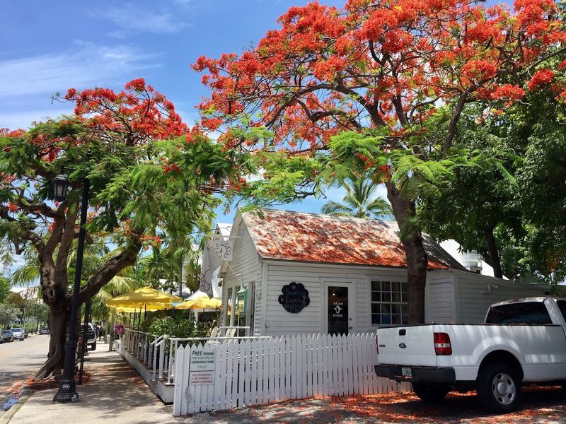 Ernest Hemingway Home and Museum