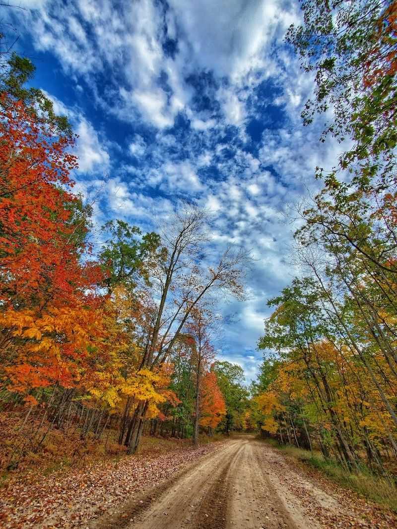 Huron-Manistee National Forest - Northern Michigan
