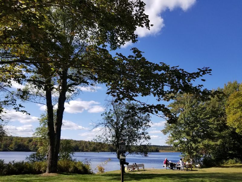 Tobyhanna State Park Beach (Tobyhanna, Monroe)
