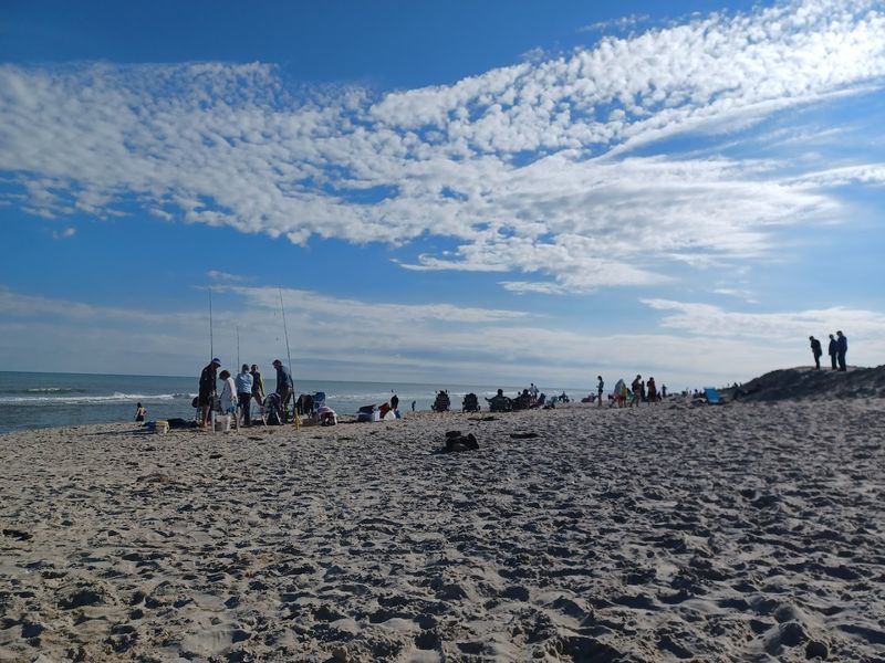 A Beach Day With More Nature And Less Chaos
