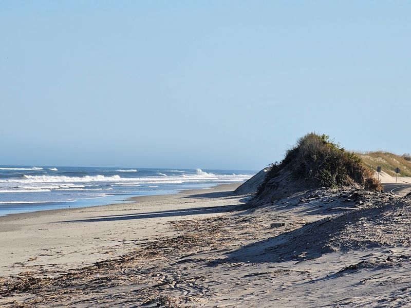 Pea Island National Wildlife Refuge 