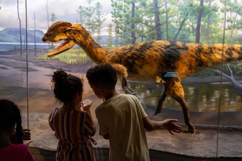 Bruce Museum