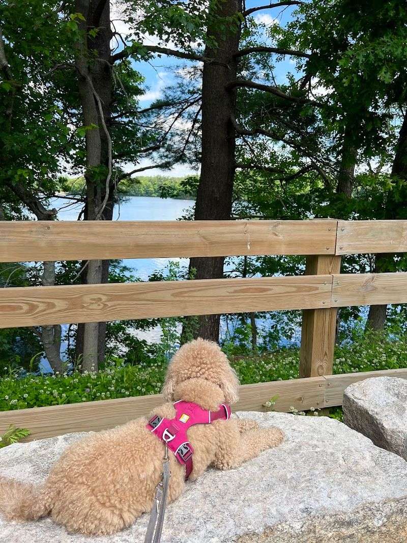 Cochituate Rail Trail