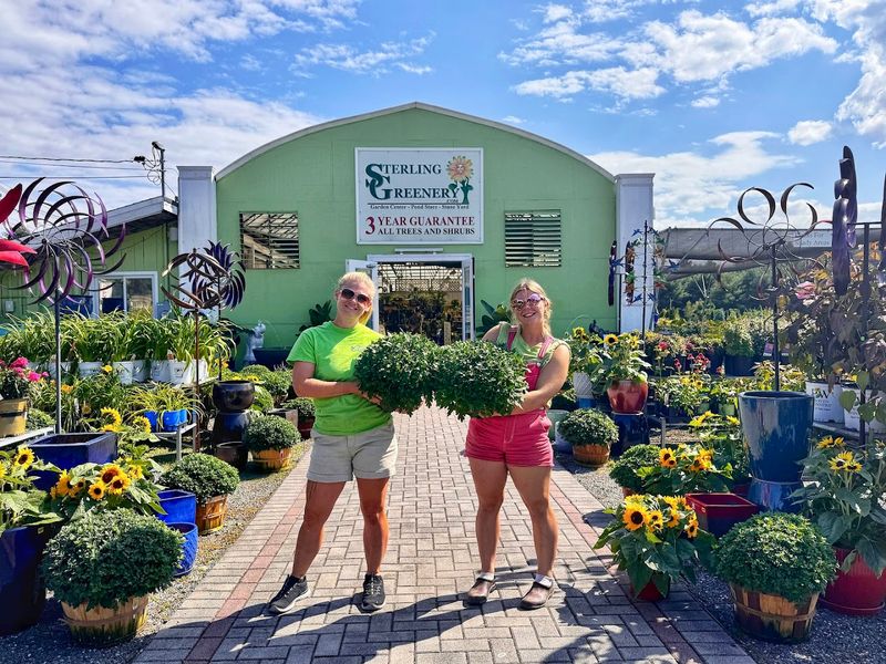 Sterling Greenery Garden Center