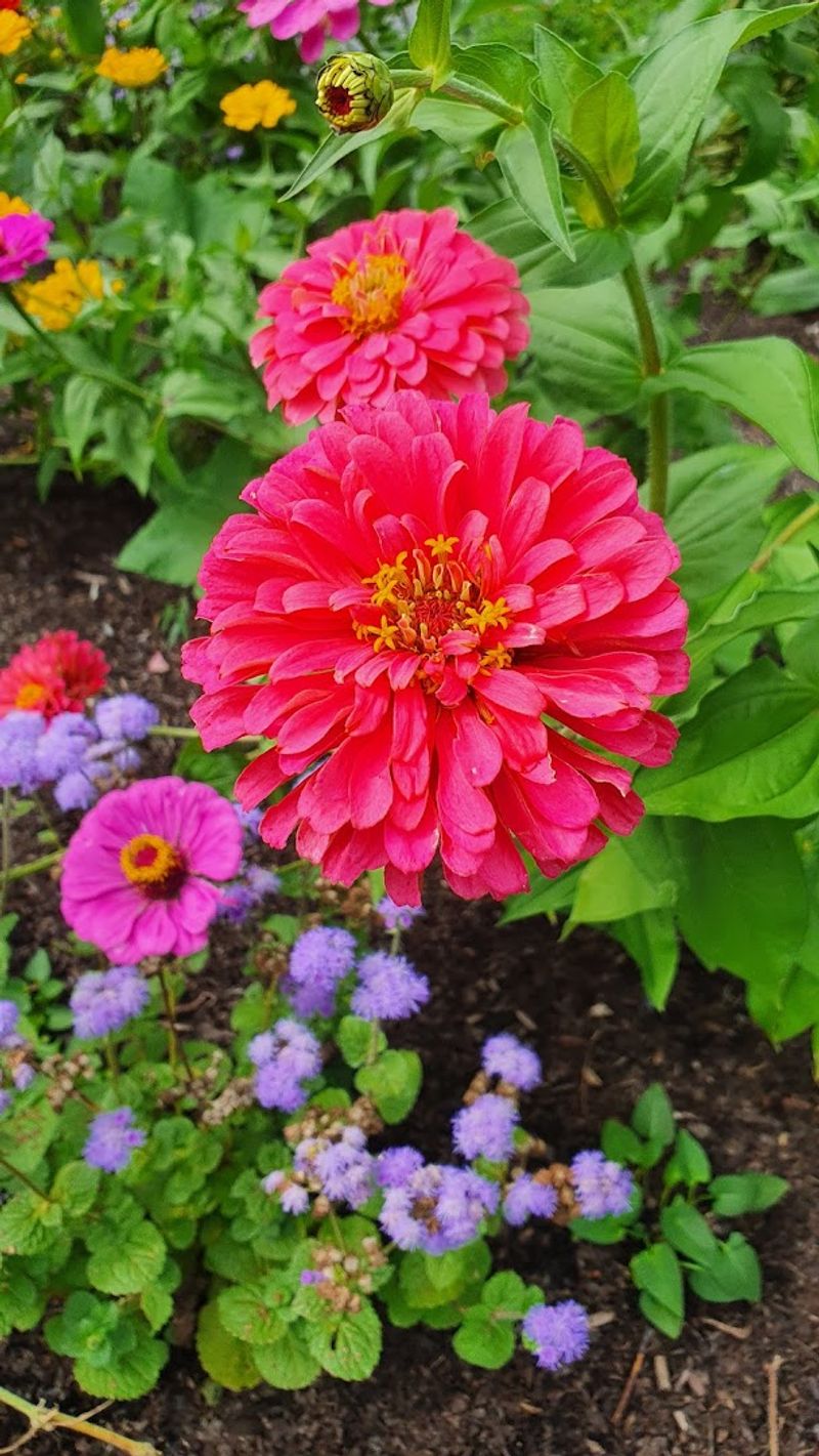 State Arboretum of Virginia (Boyce)
