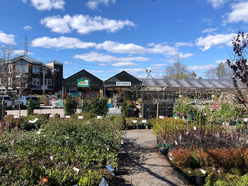 Russell's Garden Center