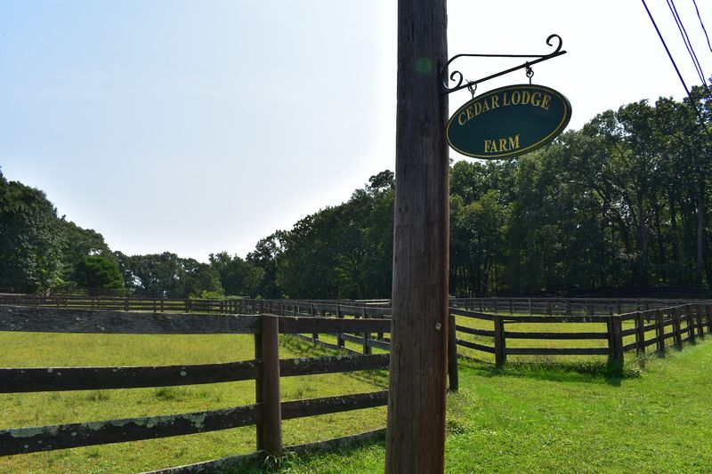 Cedar Lodge Farm 