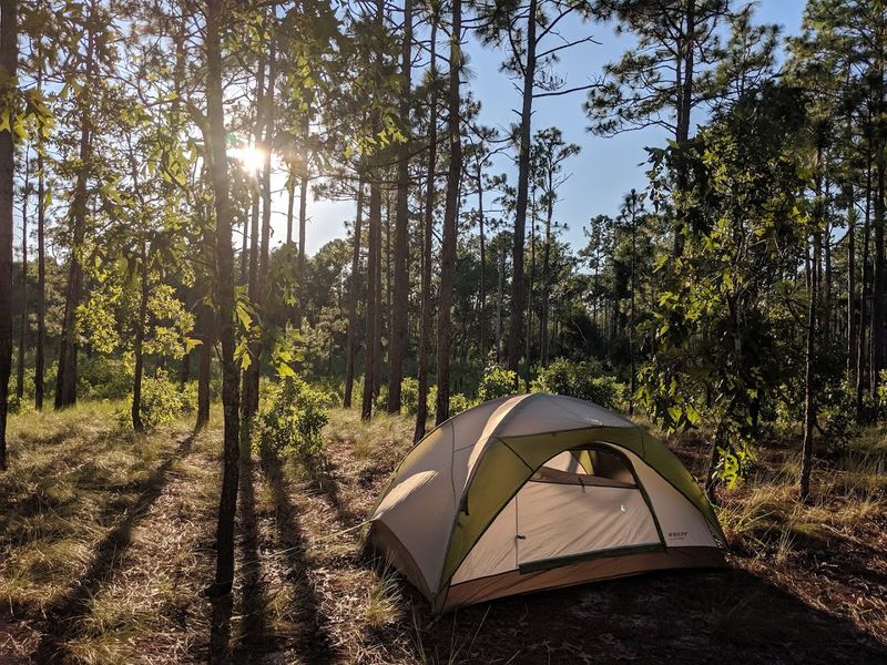 Croatan National Forest - Havelock, Craven County