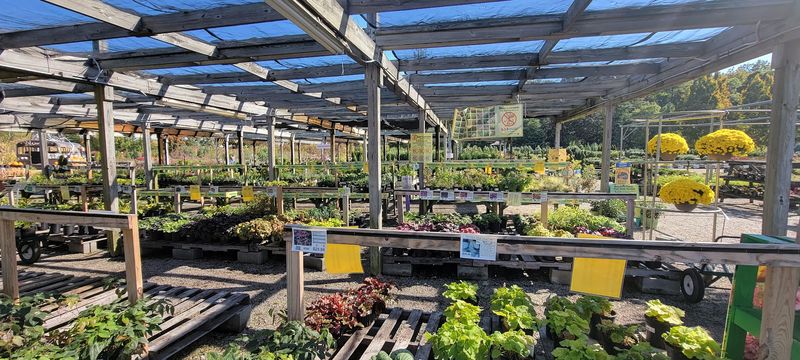 The Great Big Greenhouse - Richmond, Henrico County