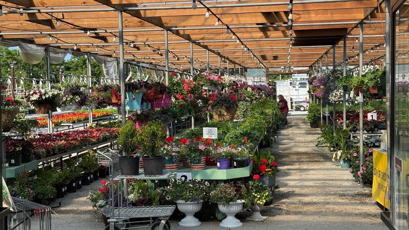 Laurel Nursery & Garden Center