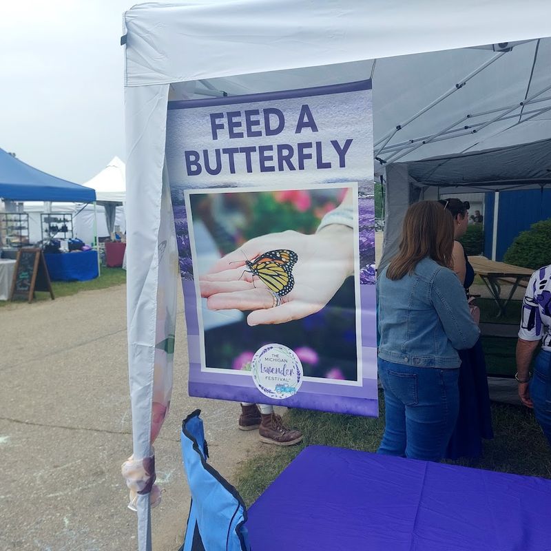 Michigan Lavender Festival (Imlay City)