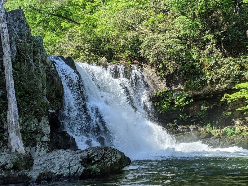 Abrams Falls Trail