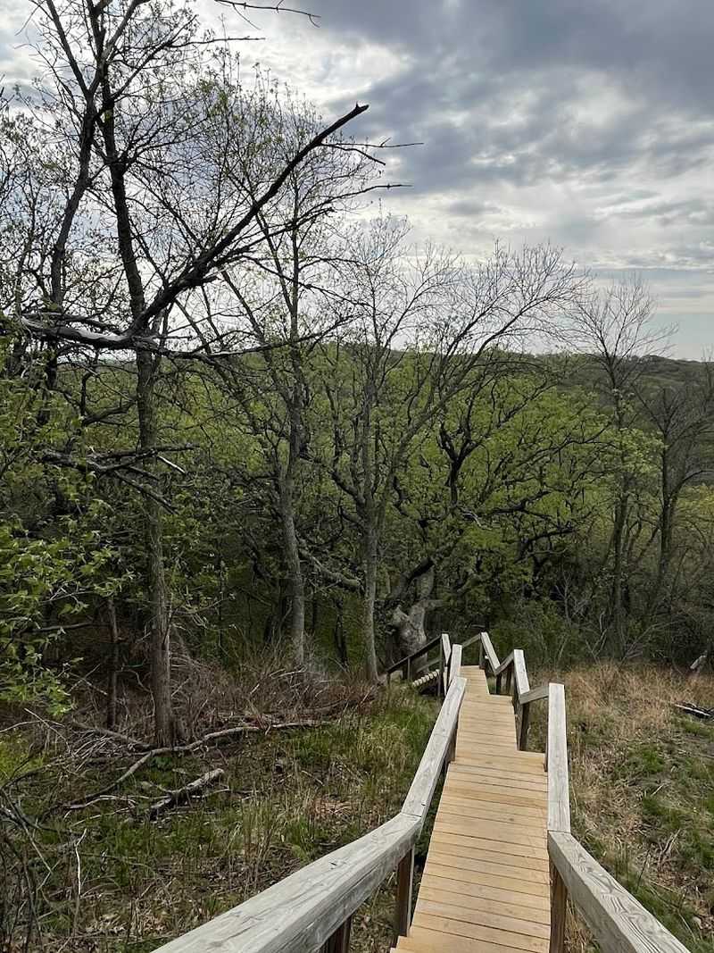 Prime Destination for Birdwatching