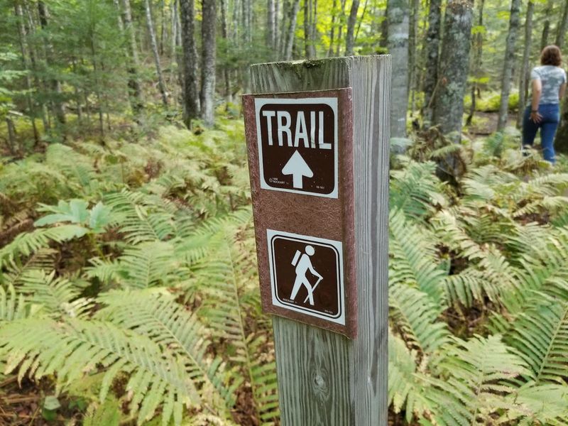 Mosquito Falls & Chapel Falls Trail