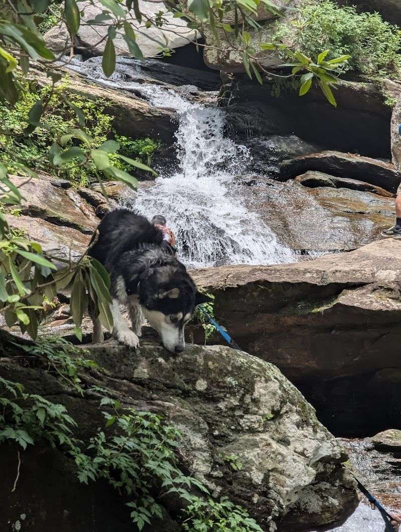 Creek-Side Exploration Path