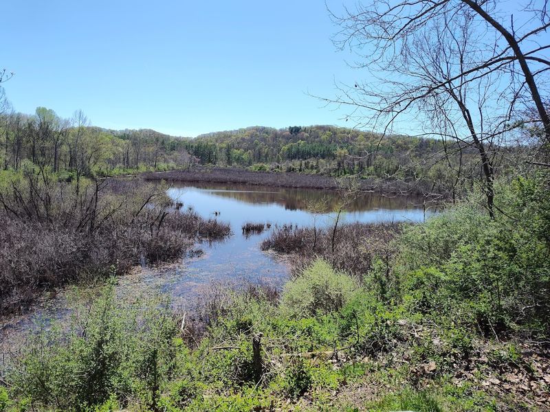 Wayne National Forest 