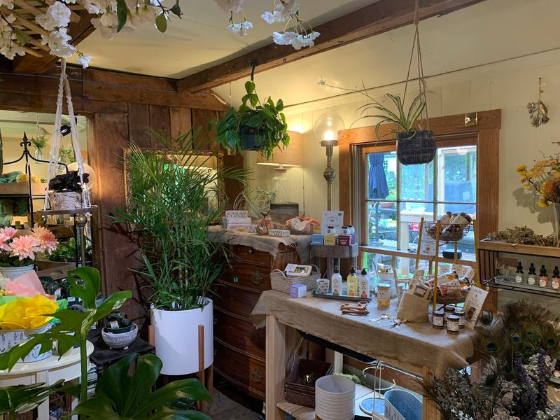 Sneeds Nursery - Richmond, Henrico County