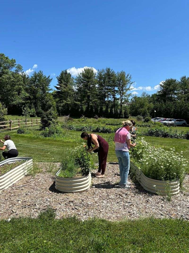 Wildflower Farm