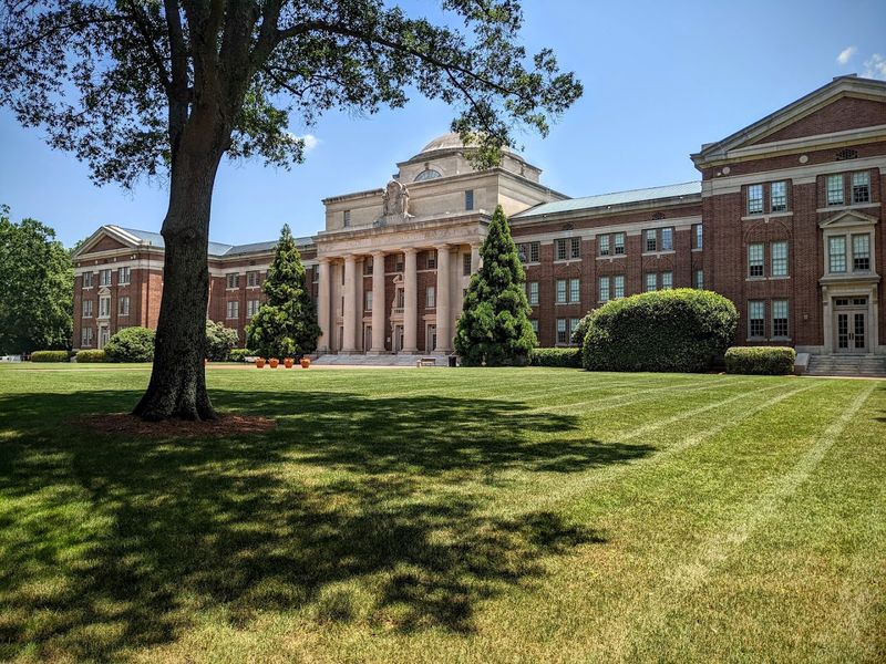 Davidson 