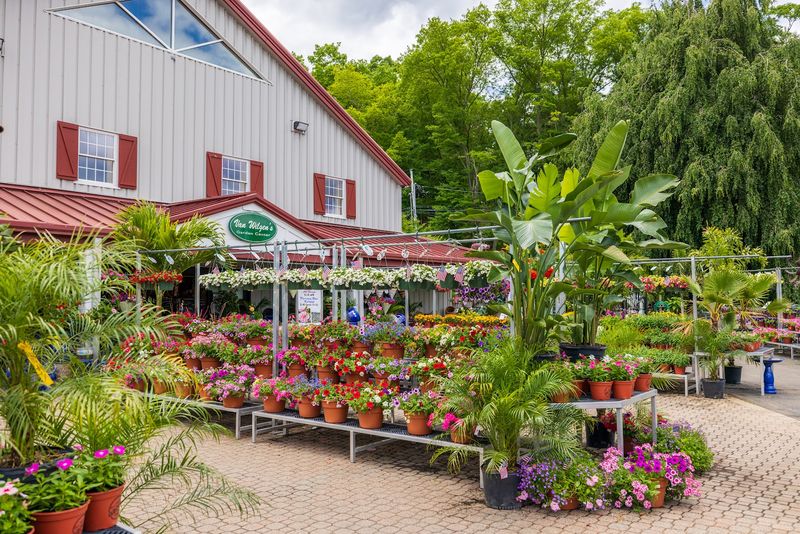 Van Wilgen's Garden Center - North Branford, New Haven County,