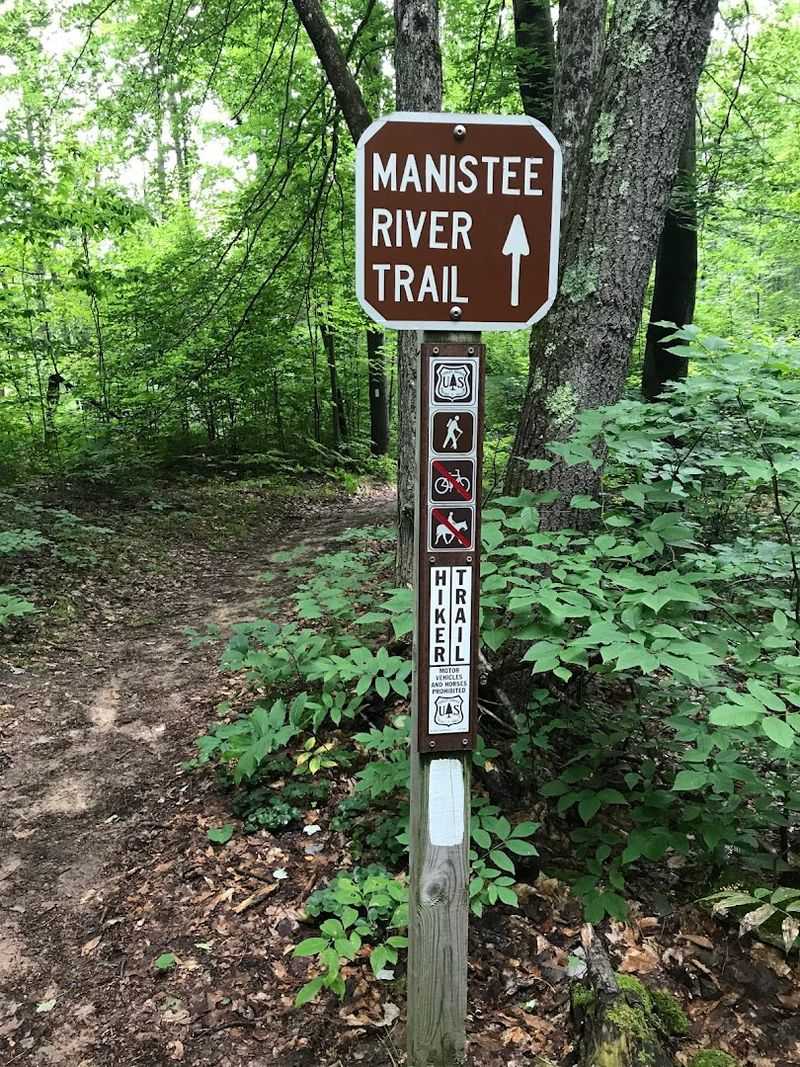 Manistee River Trail Loop