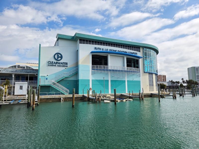 Clearwater Marine Aquarium