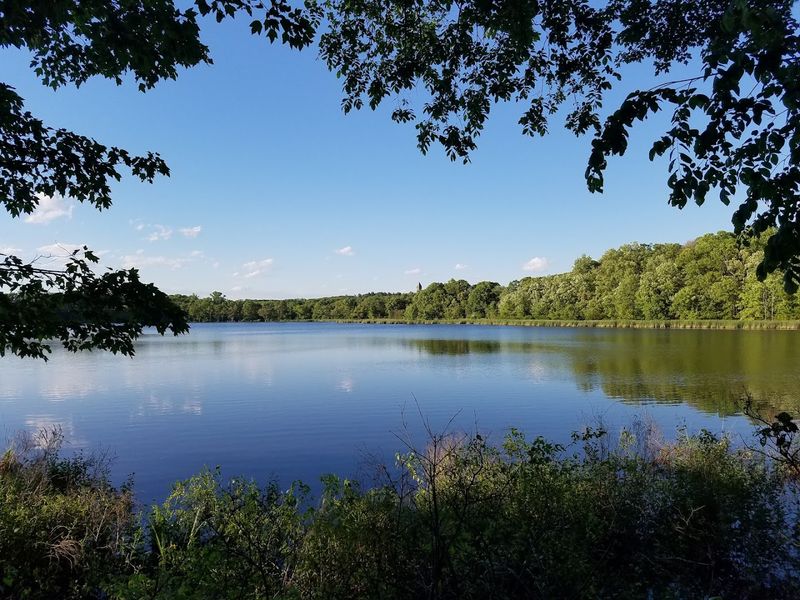Cutler Park Reservation Trails