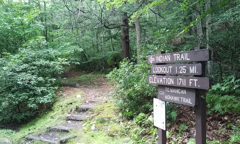 Mohawk Trail State Forest - Charlemont