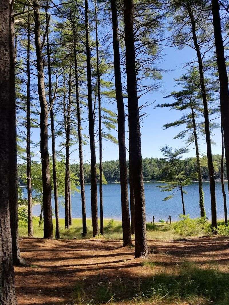 Myles Standish State Forest