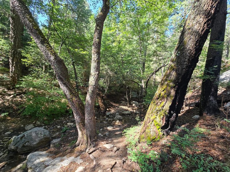 Marshall Gulch Trailhead