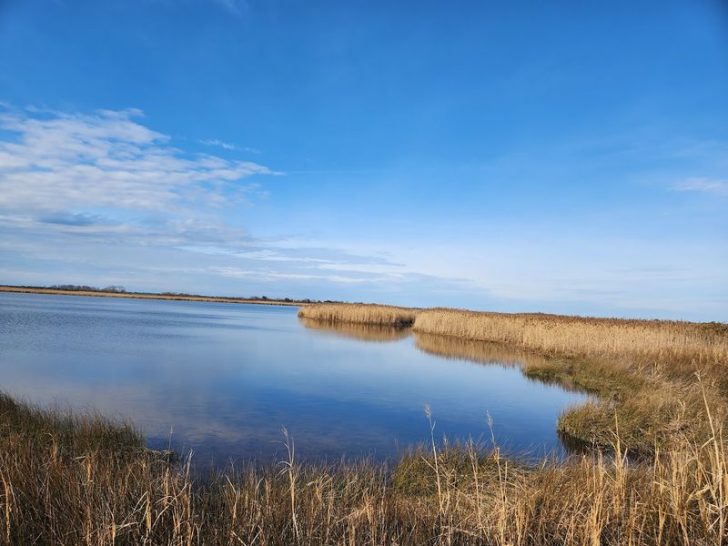 Back Bay National Wildlife Refuge 