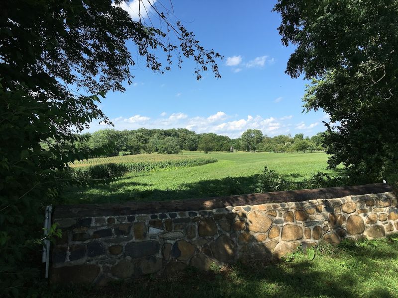 Brandywine Red Clay Alliance Horse Program &mdash; West Chester, Pennsylvania