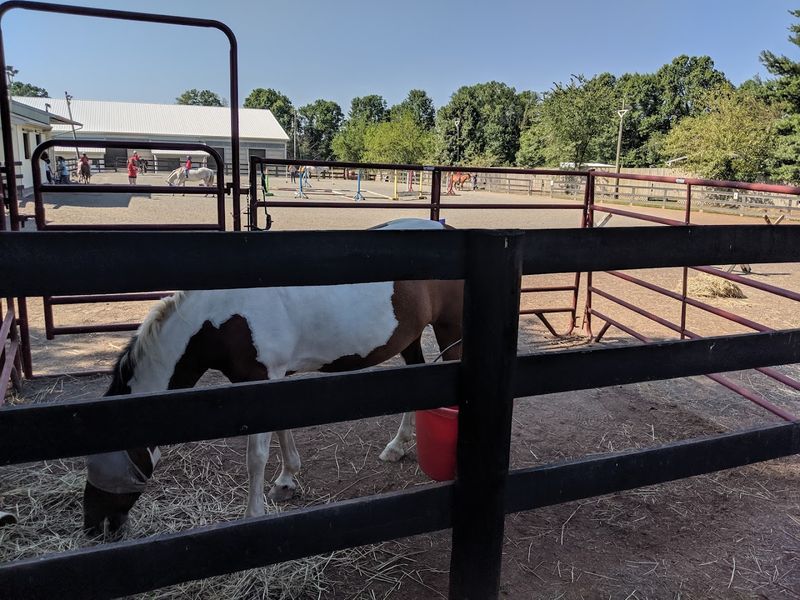 Stonelea Farm