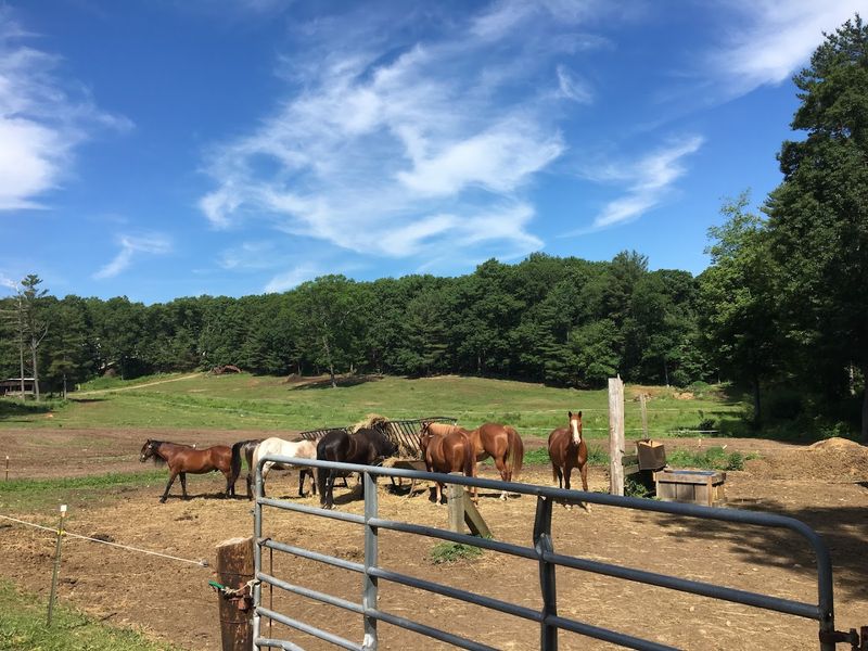 Bobby&rsquo;s Ranch
