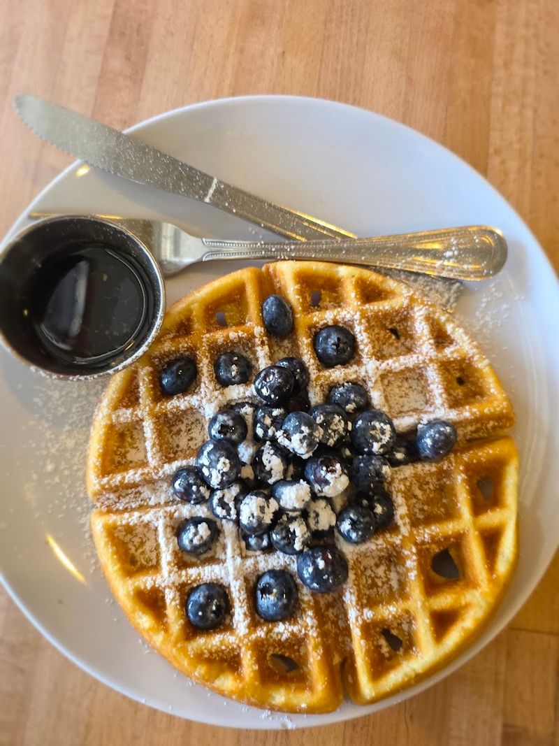 Sweet Donkey Coffee House, Roanoke, Roanoke City