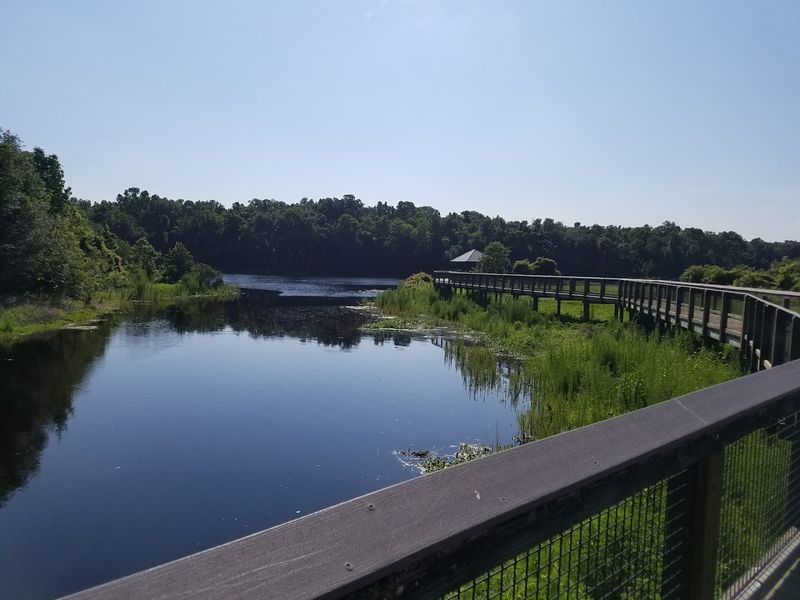 Paynes Prairie Preserve State Park 