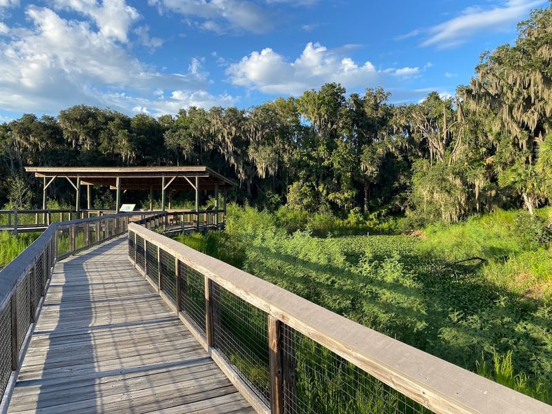 Paynes Prairie Preserve State Park - Micanopy